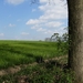 Antw Torhout 2014 099