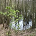 Antw Torhout 2014 100