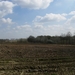 Antw Torhout 2014 101