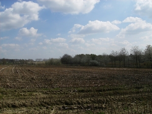 Antw Torhout 2014 101