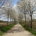 Antw Torhout 2014 102