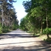 000_0393 - kopie