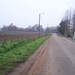 100_6781