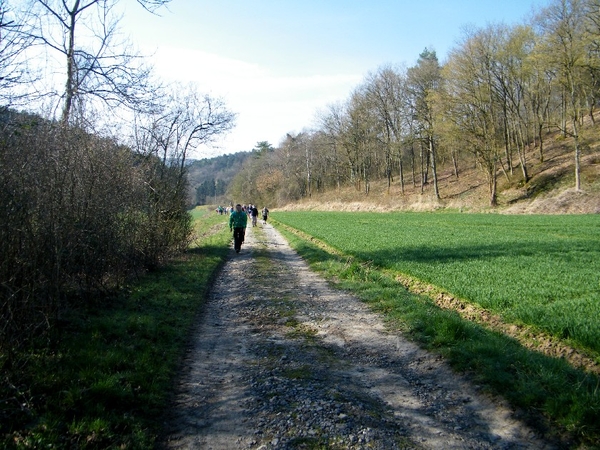 marche Treignes wandeling FFBMP