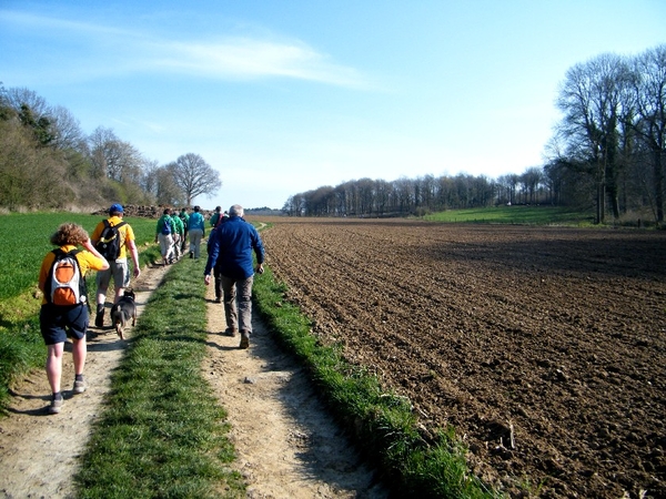 marche Treignes wandeling FFBMP