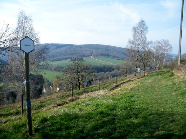 marche Treignes wandeling FFBMP