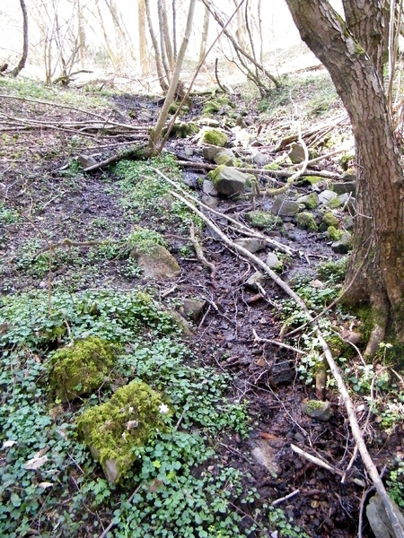 marche Treignes wandeling FFBMP