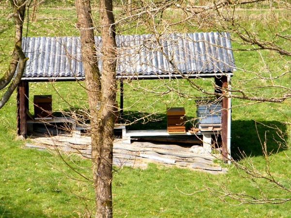 marche Treignes wandeling FFBMP