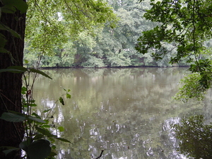 DSC00049
