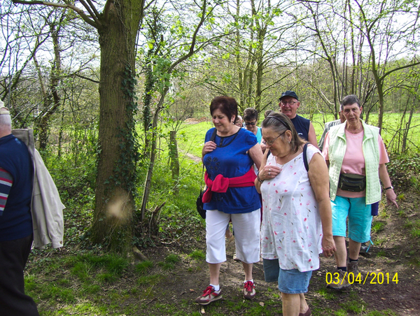 Wandeling naar Hondsbossen - 3 april 2014