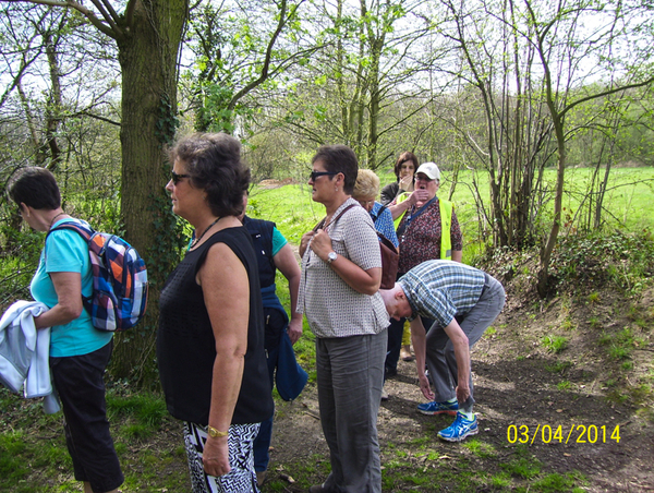 Wandeling naar Hondsbossen - 3 april 2014