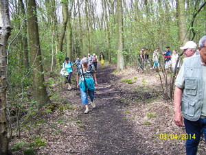 Wandeling naar Hondsbossen - 3 april 2014