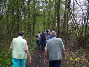 Wandeling naar Hondsbossen - 3 april 2014