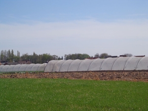 Aardbeientunnels