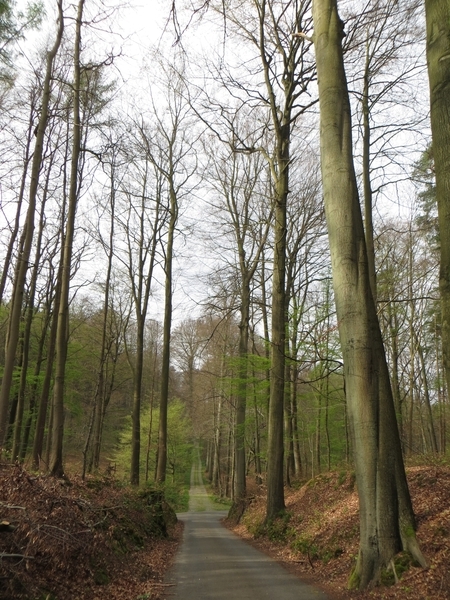 2014-04-05 Tervuren 004