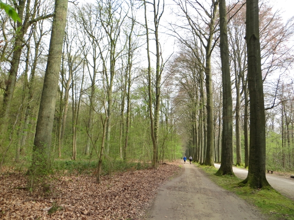 2014-04-05 Tervuren 015