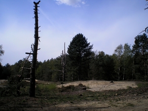 Schoutenheide