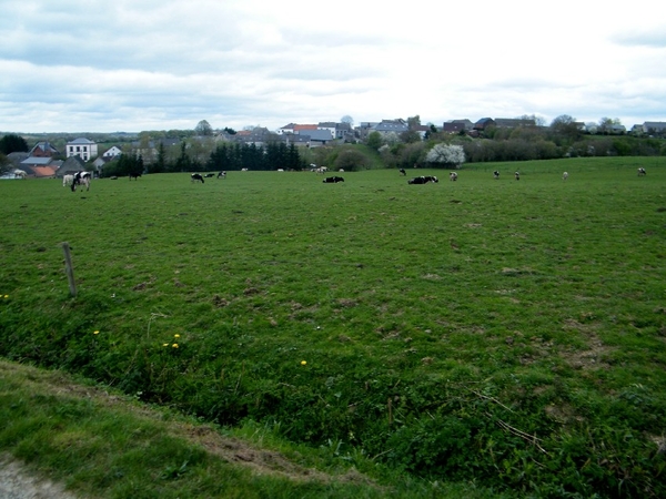 marche philippeville wandeling FFBMP