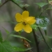 035