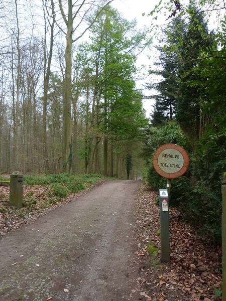 04-Domeinbos-Zoninwoud-Tervuren-1