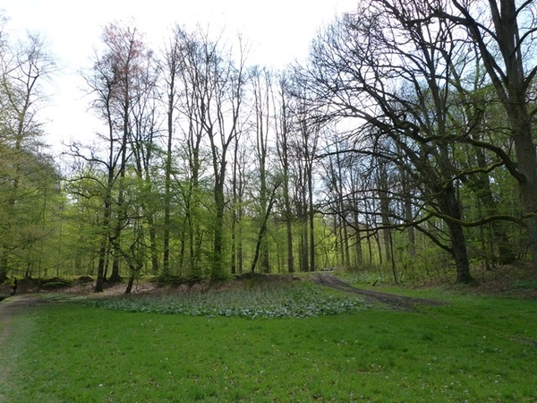 41-Domeinbos-Tervuren