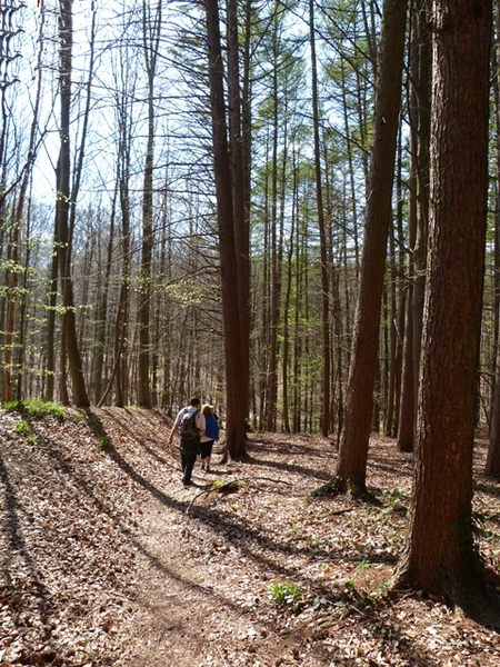 55-Door Kapucijnenbos-Duisburg naar Tervuren..
