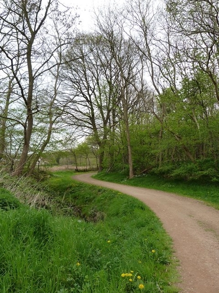 20-Wandelgebied Kloesebos in Aarschotse deelgem.Gelrode