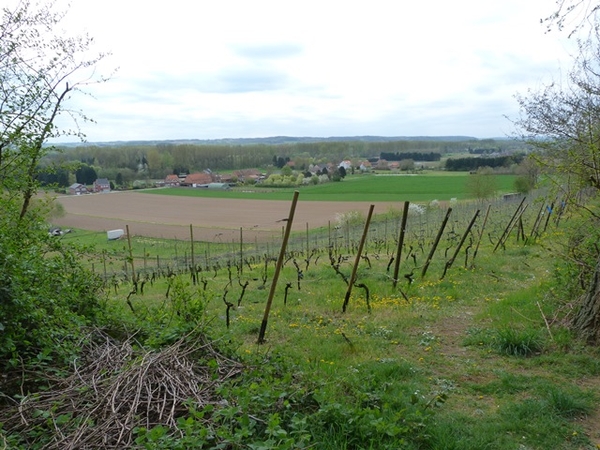 46-Wandeling rond Benninksberg-Gelrode