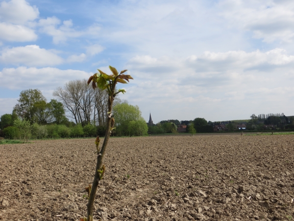 2014-04-09 Baardegem 006