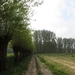 2014-04-12 Affligem 008