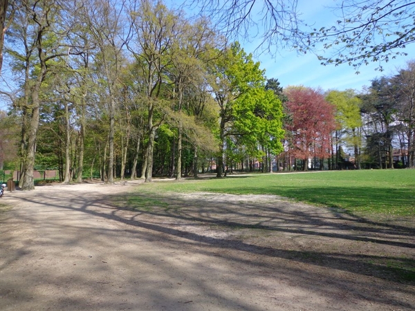 Parkje in het midden van de stad