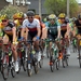 Driedaagse Depanne 2014