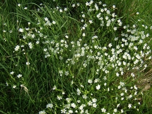 2014-04-02 KKT verkenning Vlaamse Ardennen_0004