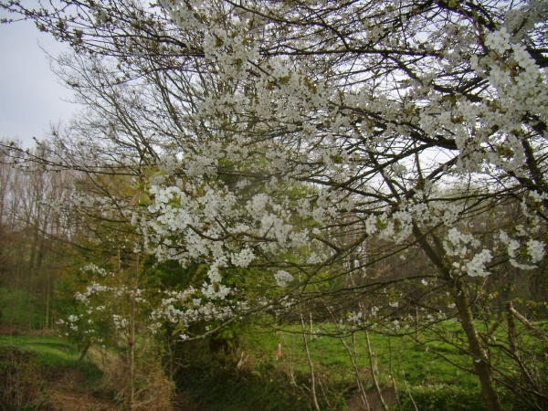 2014-04-02 KKT verkenning Vlaamse Ardennen_0014