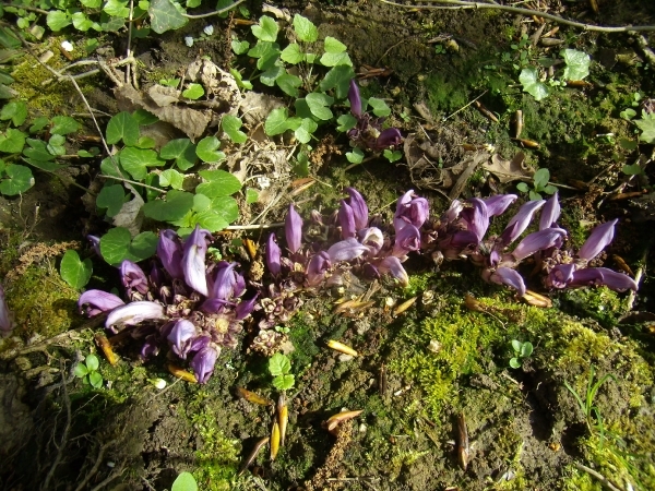 2014-04-02 KKT verkenning Vlaamse Ardennen_0069