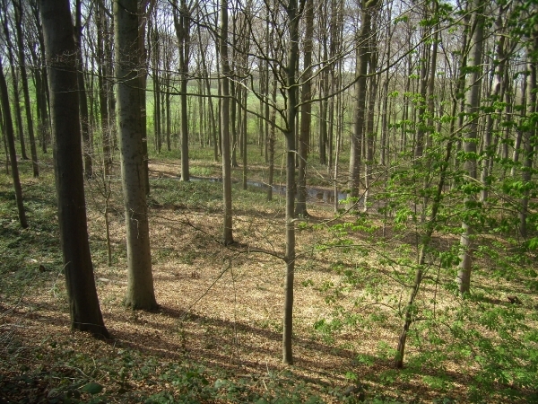 2014-04-02 KKT verkenning Vlaamse Ardennen_0079