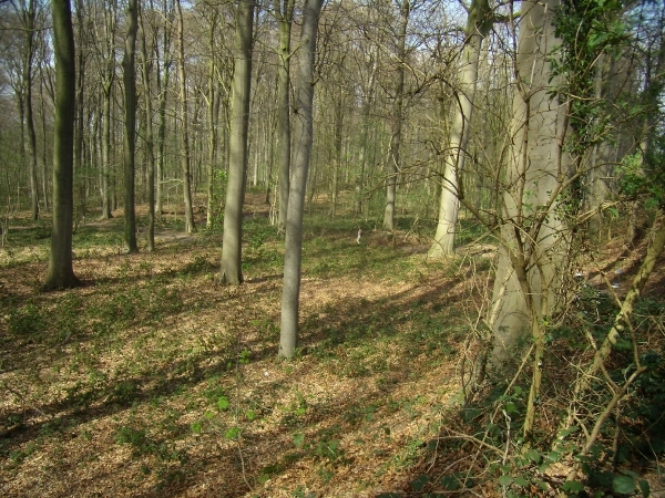 2014-04-02 KKT verkenning Vlaamse Ardennen_0080