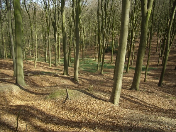 2014-04-02 KKT verkenning Vlaamse Ardennen_0089