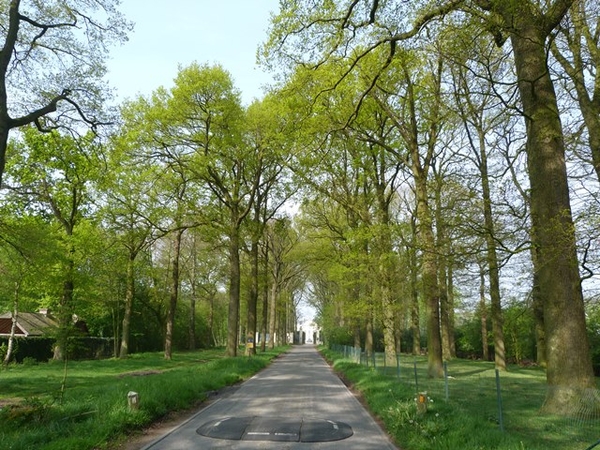 22-Kasteeldreef van Kasteel van Ardooie