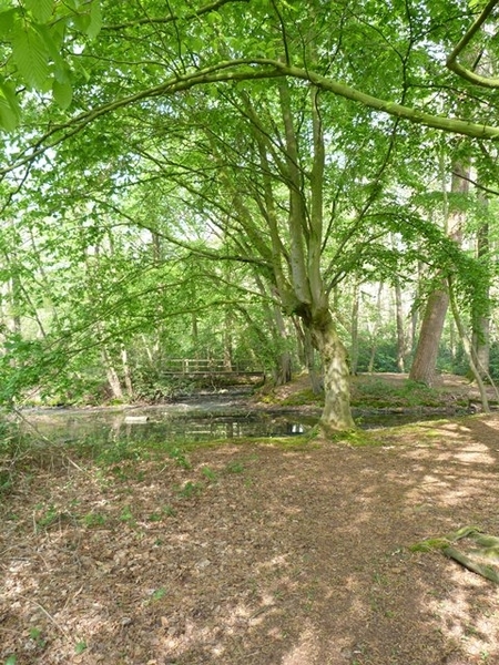 25-Natuurgebied van 28 ha.