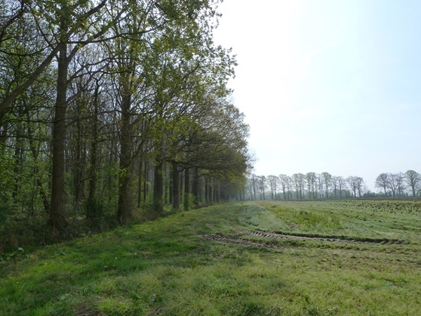 46-Verlaten van domein 't Veld