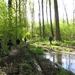 2014-04-14 Erembodegem 023