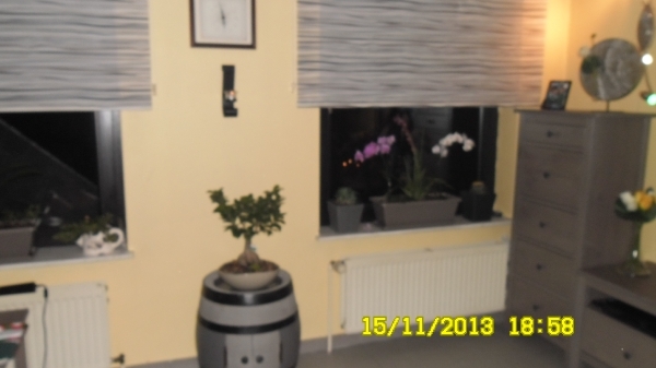 bloemen