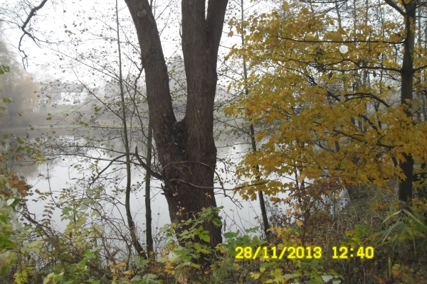 wandelen