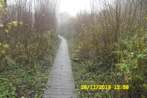 wandeling door bos naar dilbeek dorp