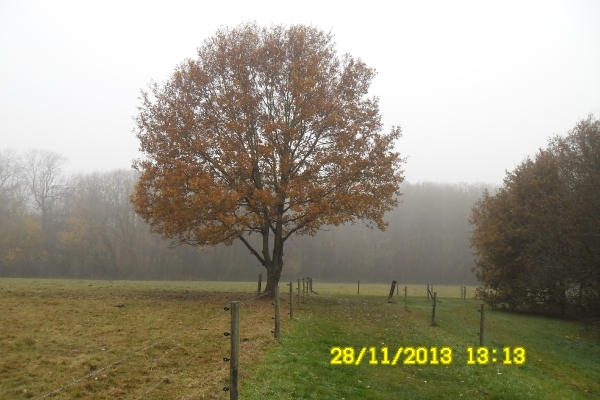 wandelen