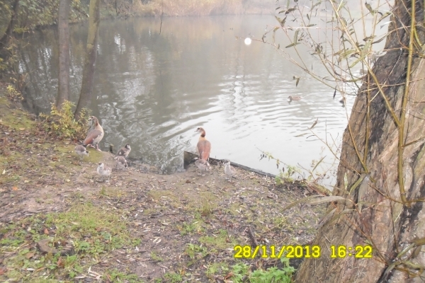 wandelen