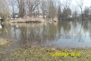 vijvers dilbeek