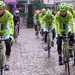 DWARS DOOR VLAANDEREN-2014