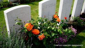 Tyne Cot Cemetrey-3